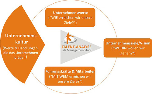 Talent Analyse als Management Tool